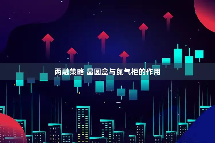 两融策略 晶圆盒与氮气柜的作用